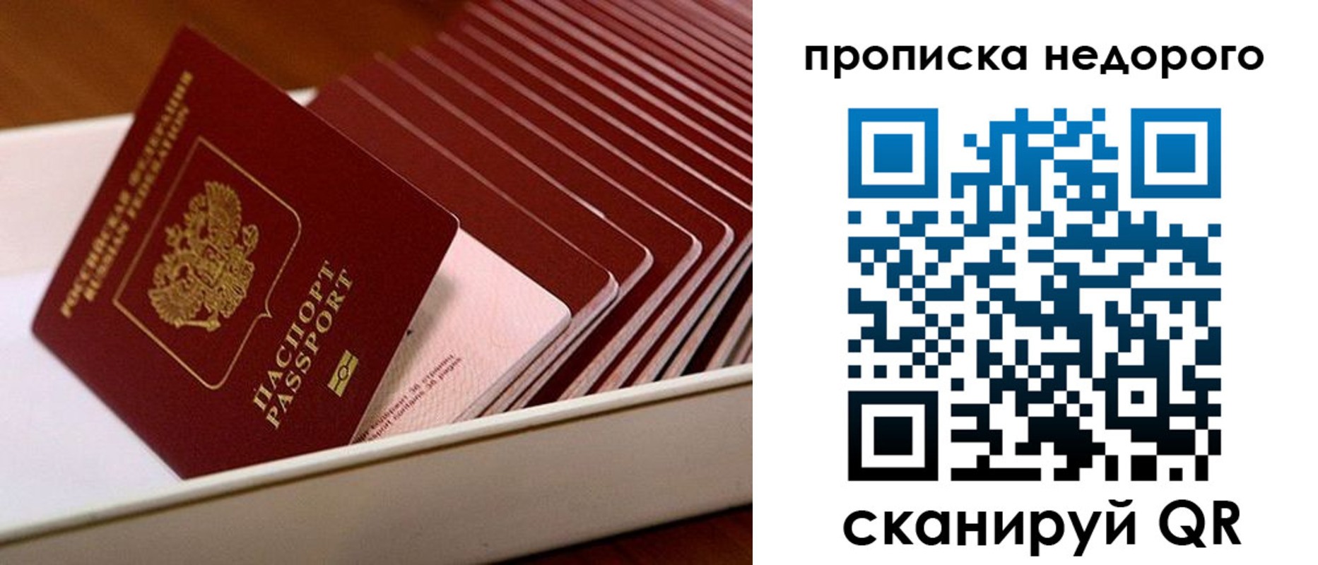 прописка паспорт в Завитинске